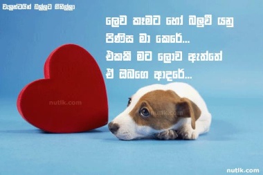 attachment.php