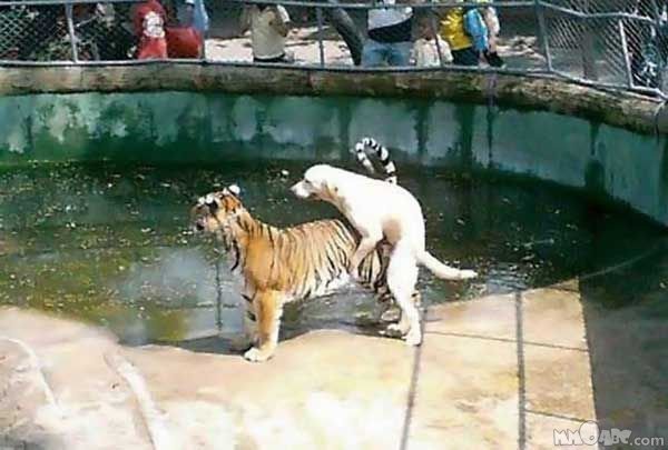 attachment.php
