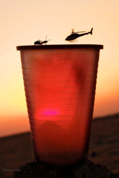 attachment.php