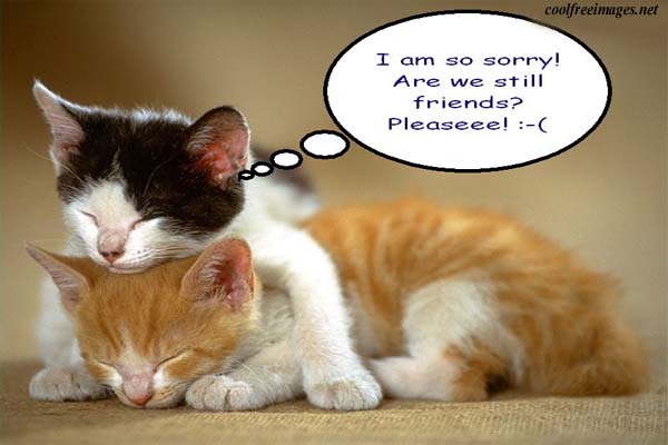 attachment.php