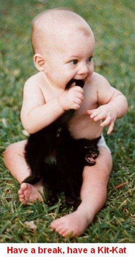 attachment.php