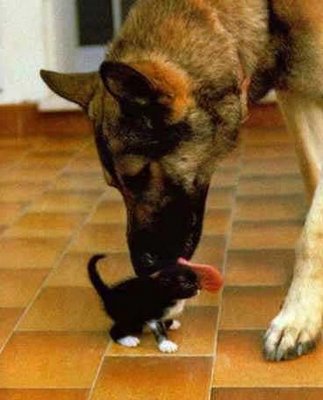 attachment.php