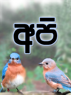 attachment.php