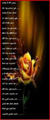 attachment.php