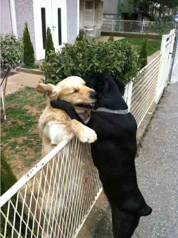 attachment.php