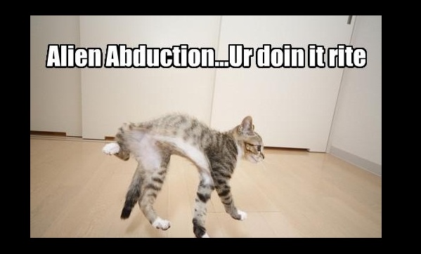 attachment.php