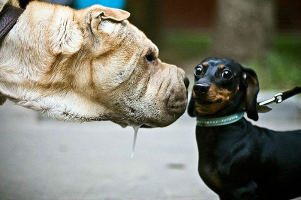 attachment.php