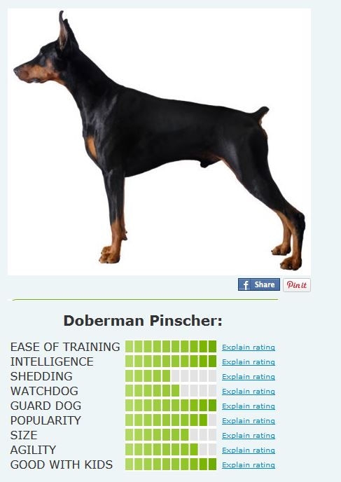 attachment.php