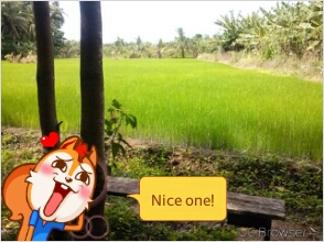 attachment.php