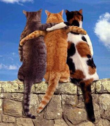 attachment.php