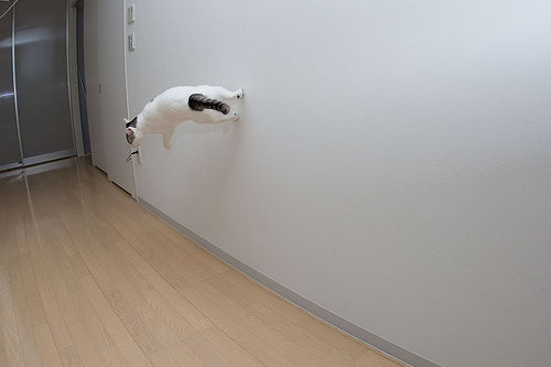 attachment.php